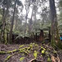 荷伯特 費爾德山國家公園探索自然生態