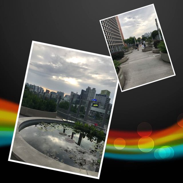 空中休憩處7017🌟🥰