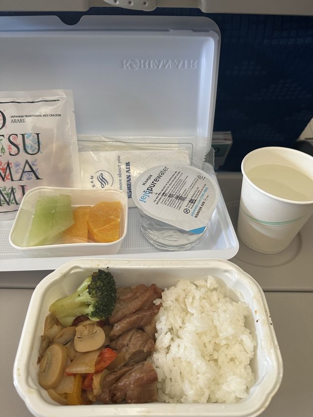 《搭乗記》中部国際空港→仁川国際空港✈️大韓航空🇰🇷空の旅☁️