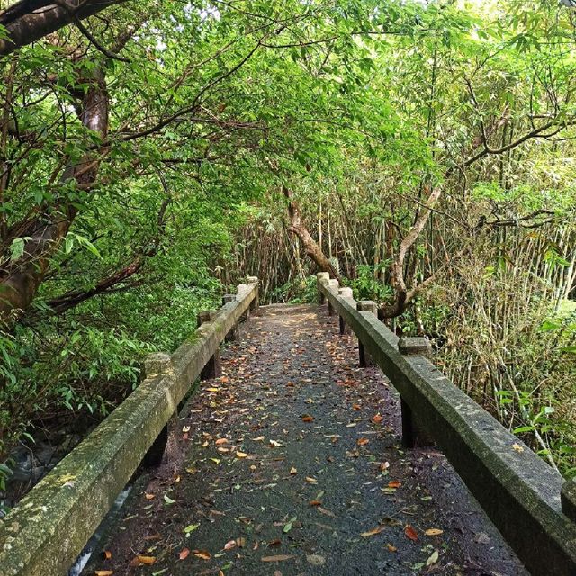 祕境溪流古道 ~ 狗慇勤古道