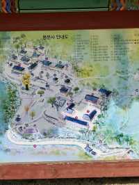양평 가볼만한곳 용문사 천년 은행나무