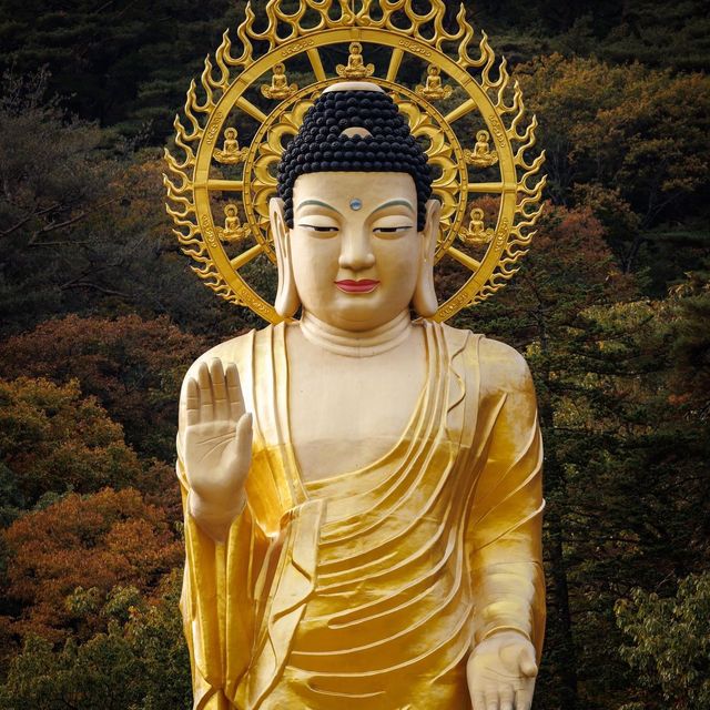 Beautiful Autumn View of Beopjusa Temple