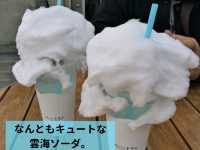 発生率40％の奇跡！雲海テラスドライブ