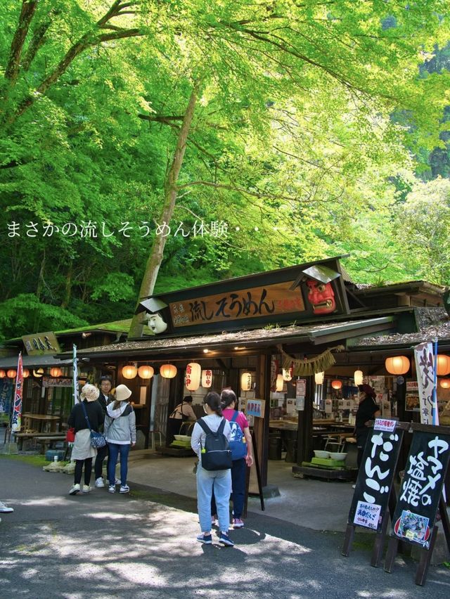 【宮崎】息を飲む美しさ✨マイナスイオンと涼を感じる絶景スポットを紹介🔍　※超攻略情報付き