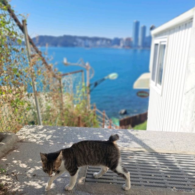 やっぱり海が好き！心の癒しスポット釜山・影島