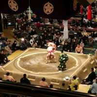 Sumo in Tokyo! 