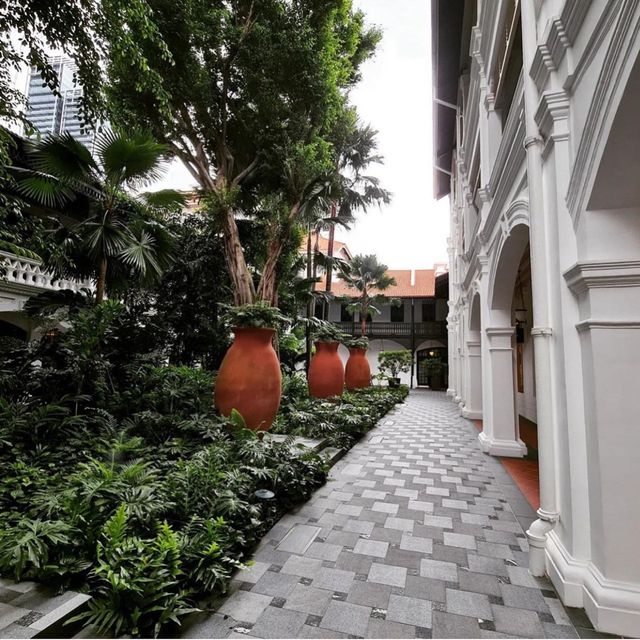 🌳🛋️고풍스럽고 우아한 호텔🌲래플스 싱가포르 