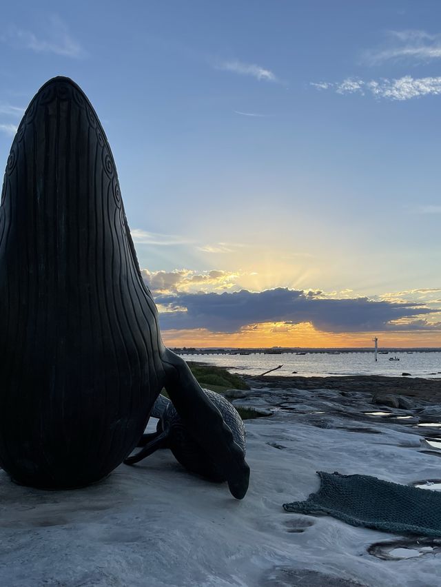 澳洲｜新南威爾士州｜雪梨 鯨魚骨雕像Whale Sculpture Kurnell