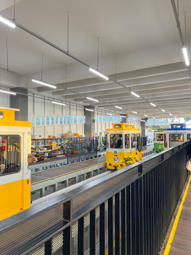 이국적인 분위기 가득- 블루라인파크 스카이캡슐🚃