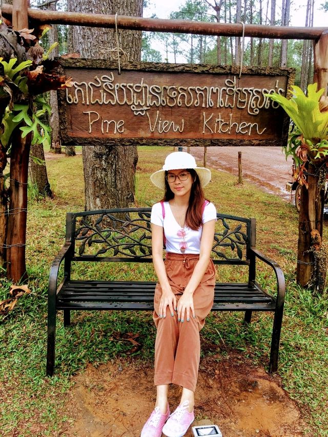 Kirirom Pine Tree