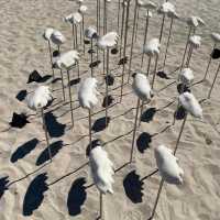 ☀️一年一度既 Sculpture by the sea Perth 2023既藝術雕塑展覽
