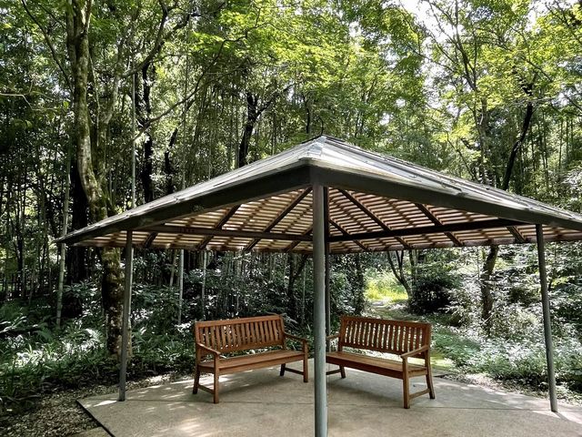 【静岡】竹林と庭園が気持ちいい！とらや工房