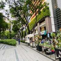 草悟道 台中最美綠園道