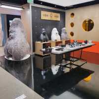 新發展的羅湖區萬象城3期
