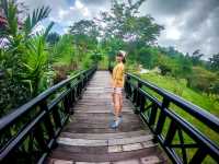 เดินดินดูดาว รีสอร์ท