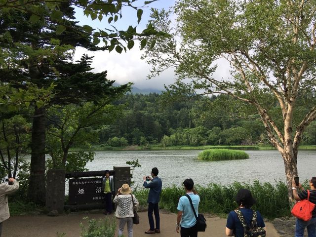 北海道　北海道観光　利尻島で絶対に外せない観光スポット　姫沼に行ってきた！