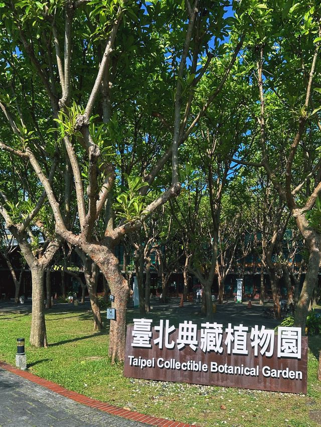 《台北》花博城市綠洲 免費森林系室內景點-台北典藏植物園