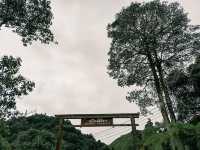 ฤดูฝนกับ หมู่บ้านแห่งสายหมอก อิต่อง - ปิล็อค 