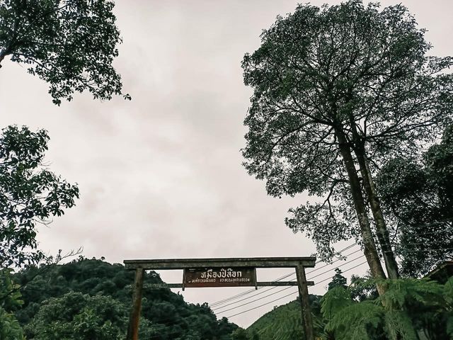 ฤดูฝนกับ หมู่บ้านแห่งสายหมอก อิต่อง - ปิล็อค 