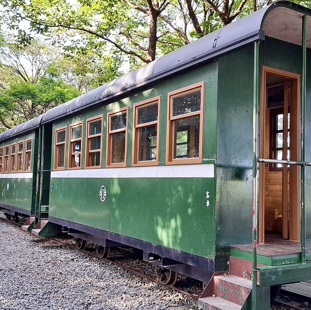 羅東林業文化園區-環境舒適、多特色景點，打咭漂亮！