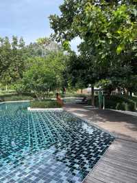 🤍 The Peri Hotel- เขาใหญ่ 🌳