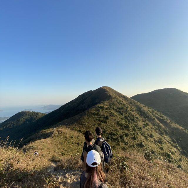 香港🇭🇰 ｜周末行山訪芒草海🌾 - 黃牛山⛰️