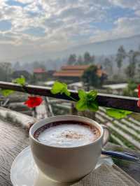The Nest Cafe