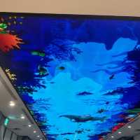【新開幕的台中東區lalaport】綠色北館、橘色南館，評分8/10