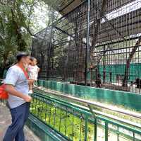 Safari world มากี่ครั้งก็ไม่เคยเบื่อ