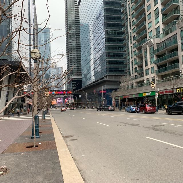 動感之都 -多倫多 Canada