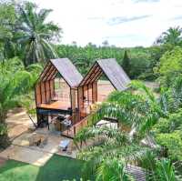คาเฟ่กระบี่ ท่ามกลางธรรมชาติ