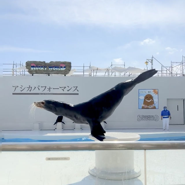 海洋奇遇！鴨川海洋世界🐳🐙🌊