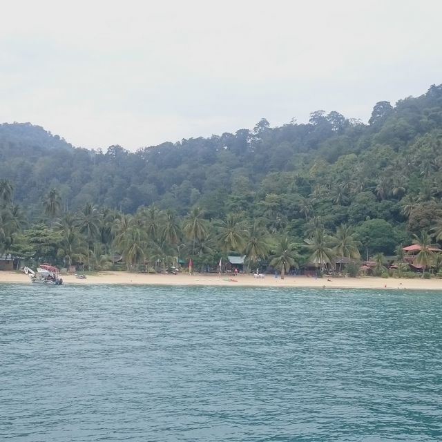 Snorkeling in Tioman Island