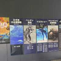 海洋奇妙～新潟市水族館 Marinepia 日本海🐠🌊🐙