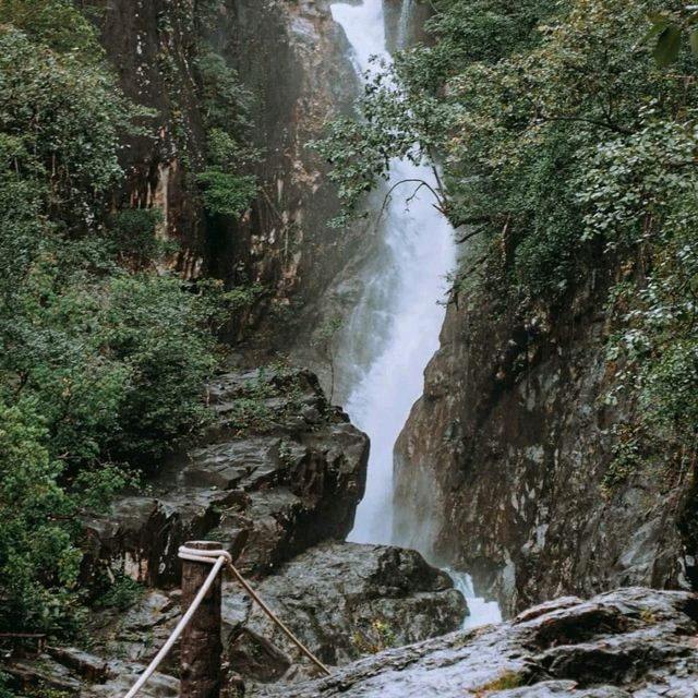 เกาะช้างไม่ได้มีดีแค่ทะเล 🏞🌿