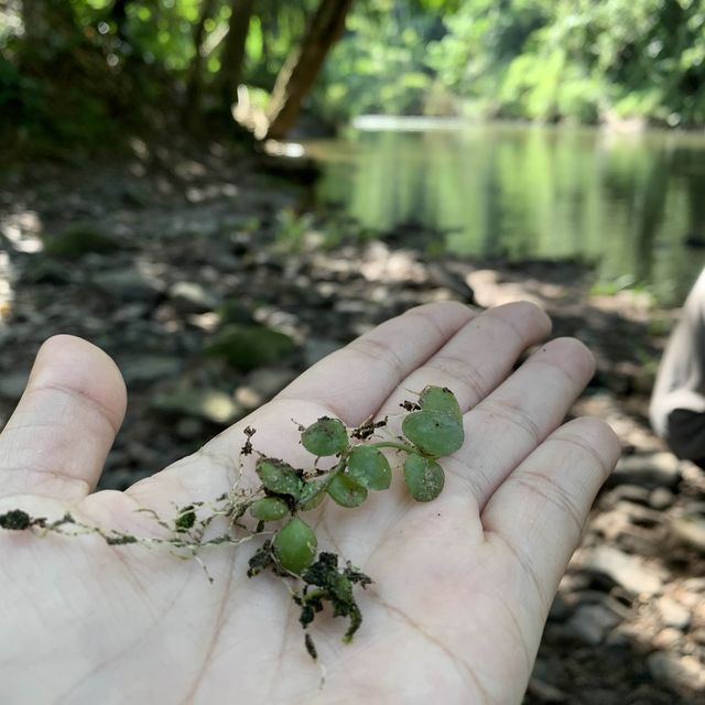 Let’s explore Luang Namtha - kayaking - Namha