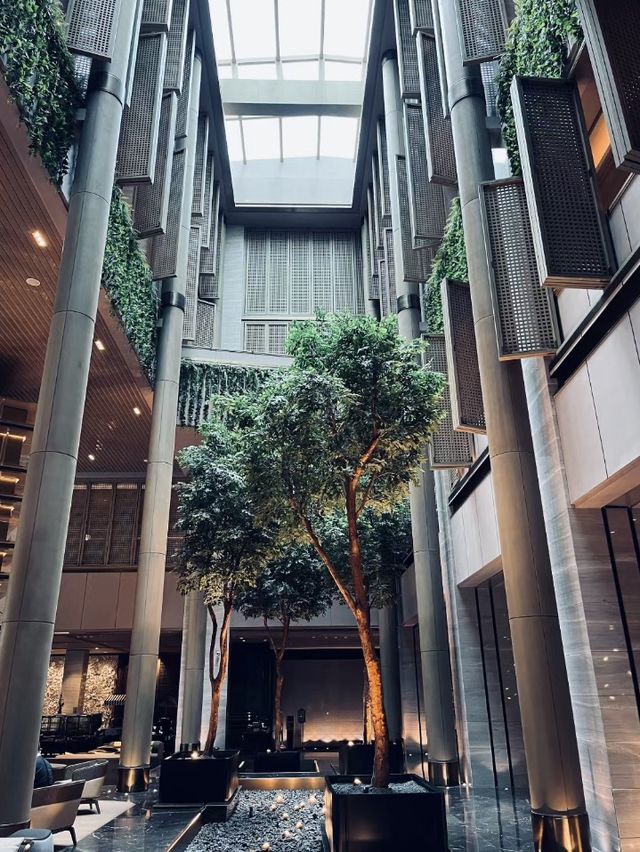 🎡🎢深圳博林天瑞喜來登酒店✨🏙️🌇 城市奢華與舒適🏨🌟🌺