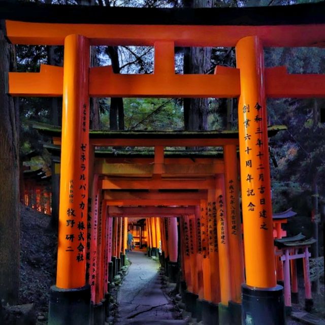 ⛩️ The spectacular Torii Gate experience ⛩️