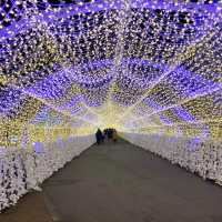 Tokyo Mega Illumination, Shinagawa Tokyo 🇯🇵
