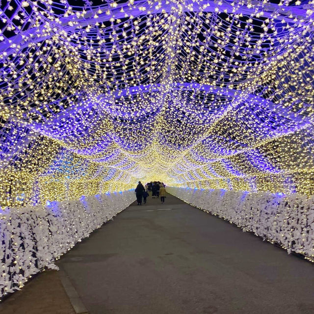 Tokyo Mega Illumination, Shinagawa Tokyo 🇯🇵