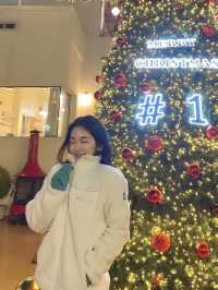 🎄대형트리 맛집 청주 성안길 원탑 카페 #1