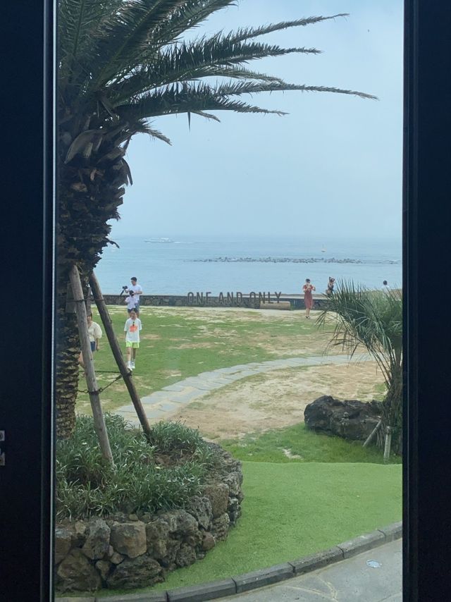 웅장한 산방산 뷰를 가득 품은 이 곳~!⛰️ ‘원앤온리’ 를 소개합니다~!☕️