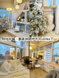 ⭐️貓貓Cafe竟然有豬仲有狗？🐱🐷🐶