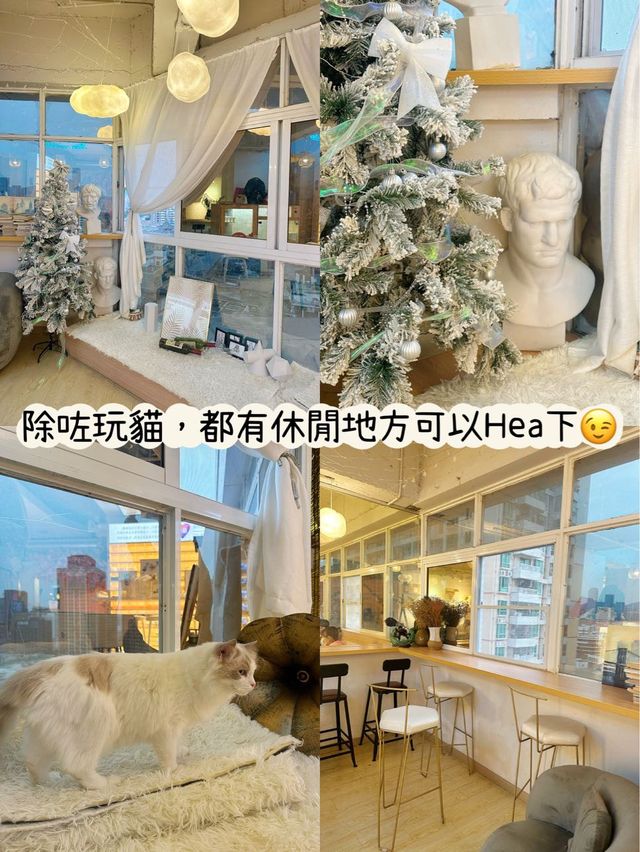 ⭐️貓貓Cafe竟然有豬仲有狗？🐱🐷🐶