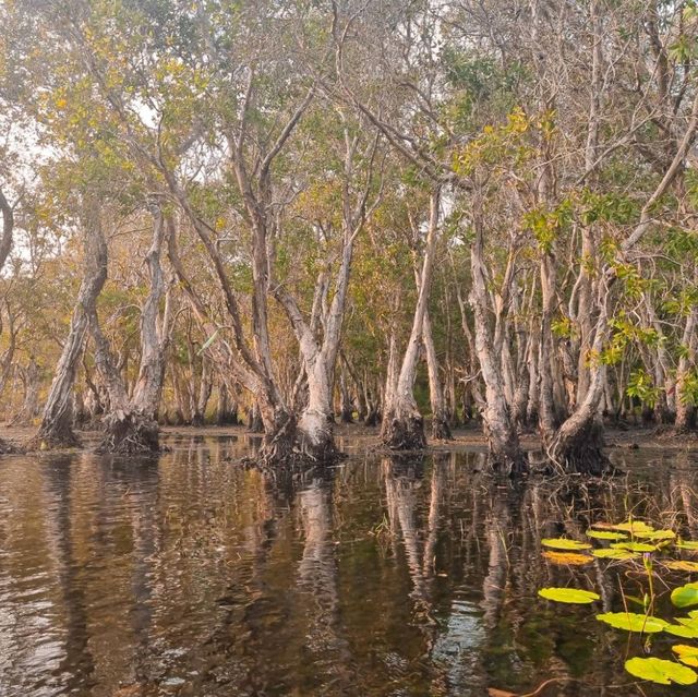 สวนพฤกษศาสตร์ระยอง พายคายัคชมธรรมชาติ 🐟🌳🌲