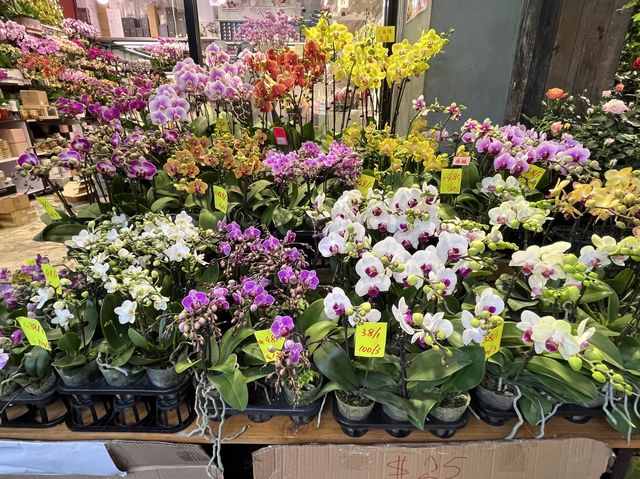 香港特色街道 @ 旺角花墟 香港特色街道 @ 旺角花墟