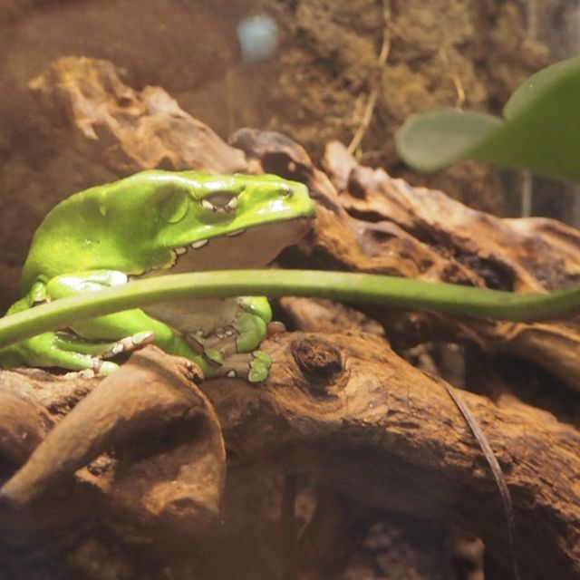 Xpark aquarium in taipei taoyuan