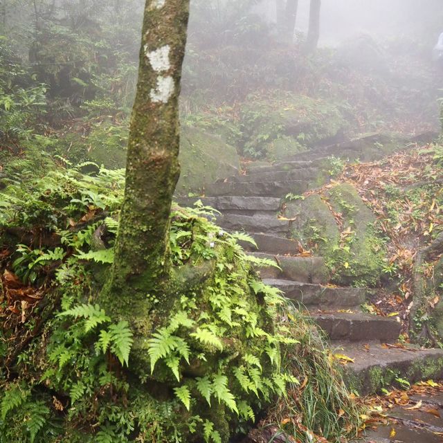 Yangmingshan: Lengshuikeng>>xiaoyoukeng trail