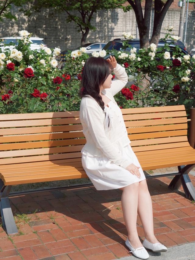 대구에서 가장 핫한 유명장미명소 🌹💗