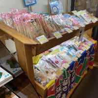 【鹿児島・鹿児島中央】ちりめん・しらす専門店凪